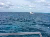 Great day of scuba diving in Key Largo with Rainbow Reef on molasses reef tropical odyssey 2016 04 30 r2760 1