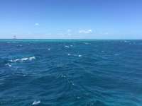 Great day of scuba diving in Key Largo with Rainbow Reef on north star tropical legend 2016 04 18 r2732 1