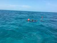 Great day of scuba diving in Key Largo with Rainbow Reef on snapper ledge tropical legend 2016 04 02 r2682 1