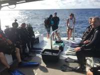 Great day of scuba diving in Key Largo with Rainbow Reef on spiegel grove tropical adventure 2016 04 09 r2699 1