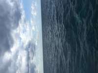 Great day of scuba diving in Key Largo with Rainbow Reef on uscgc bibb tropical adventure 2016 04 06 r2692 1