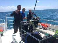 Great day of scuba diving in Key Largo with Rainbow Reef on woodys tropical explorer 2016 04 19 r2735 1