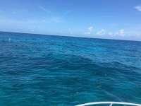 Great day of scuba diving in Key Largo with Rainbow Reef on christ statue tropical adventure 2016 08 04 r3139 1