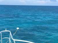 Great day of scuba diving in Key Largo with Rainbow Reef on city of washington tropical adventure 2016 08 23 r3201 1