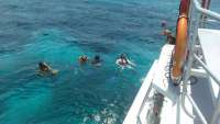 Great day of scuba diving in Key Largo with Rainbow Reef on fire coral cave tropical odyssey 2016 08 17 r3178 1