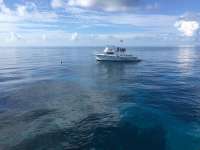 Great day of scuba diving in Key Largo with Rainbow Reef on molasses reef tropical voyager 2016 08 20 r3186 1
