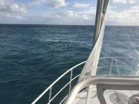 Great day of scuba diving in Key Largo with Rainbow Reef on benwood wreck tropical legend 2016 12 04 r3575 1
