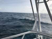 Great day of scuba diving in Key Largo with Rainbow Reef on eagle ray alley tropical legend 2016 12 12 r3596 1