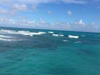 Great day of scuba diving in Key Largo with Rainbow Reef on grecian rocks tropical legend 2016 12 05 r3579 1