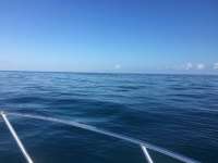Great day of scuba diving in Key Largo with Rainbow Reef on molasses reef tropical explorer 2016 12 29 r3686 1
