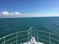 Great day of scuba diving in Key Largo with Rainbow Reef on molasses reef tropical legend 2016 12 22 r3643 1