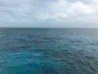 Great day of scuba diving in Key Largo with Rainbow Reef on molasses reef tropical voyager 2016 12 21 r3630 1
