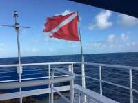 Great day of scuba diving in Key Largo with Rainbow Reef on spiegel grove tropical adventure 2016 12 19 r3623 1
