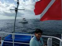 Great day of scuba diving in Key Largo with Rainbow Reef on uscgc duane tropical adventure 2016 12 29 r3679 1