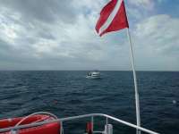 Great day of scuba diving in Key Largo with Rainbow Reef on uscgc duane tropical legend 2016 12 09 r3588 1