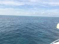 Great day of scuba diving in Key Largo with Rainbow Reef on winch hole tropical adventure 2016 12 21 r3634 1