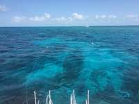 Great day of scuba diving in Key Largo with Rainbow Reef on winch hole tropical legend 2016 12 22 r3639 1
