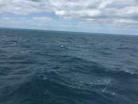 Great day of scuba diving in Key Largo with Rainbow Reef on benwood wreck tropical adventure 2016 02 14 r2508 1