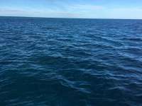 Great day of scuba diving in Key Largo with Rainbow Reef on benwood wreck tropical odyssey 2016 02 08 r2490 1