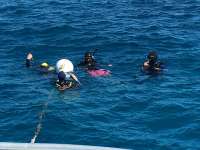 Great day of scuba diving in Key Largo with Rainbow Reef on benwood wreck tropical odyssey 2016 02 29 r2558 1