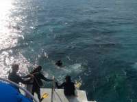 Great day of scuba diving in Key Largo with Rainbow Reef on christ statue tropical adventure 2016 02 18 r2522 1