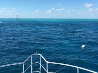 Great day of scuba diving in Key Largo with Rainbow Reef on fire coral cave tropical odyssey 2016 02 26 r2544 1