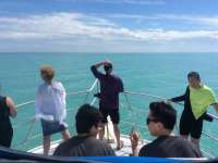 Great day of scuba diving in Key Largo with Rainbow Reef on molasses reef tropical adventure 2016 02 17 r2516 1