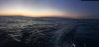 Great day of scuba diving in Key Largo with Rainbow Reef on molasses reef tropical odyssey 2016 02 02 r2478 1