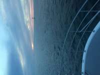 Great day of scuba diving in Key Largo with Rainbow Reef on molasses reef tropical odyssey 2016 02 16 r2513 2