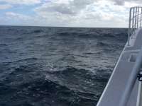 Great day of scuba diving in Key Largo with Rainbow Reef on molasses reef tropical odyssey 2016 02 20 r2524 1