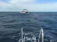 Great day of scuba diving in Key Largo with Rainbow Reef on molasses reef tropical odyssey 2016 02 20 r2524 3