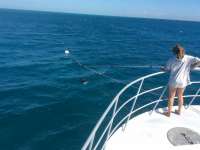 Great day of scuba diving in Key Largo with Rainbow Reef on spiegel grove tropical adventure 2016 02 18 r2518 1