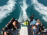 Great day of scuba diving in Key Largo with Rainbow Reef on eagle ray alley tropical voyager 2016 01 07 r2429 1