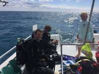 Great day of scuba diving in Key Largo with Rainbow Reef on french reef tropical explorer 2016 01 30 r2467 1