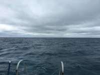 Great day of scuba diving in Key Largo with Rainbow Reef on molasses deep tropical adventure 2016 01 04 r2425 1