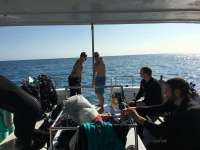 Great day of scuba diving in Key Largo with Rainbow Reef on molasses reef tropical explorer 2016 01 16 r2445 1