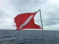 Great day of scuba diving in Key Largo with Rainbow Reef on permit ledges tropical adventure 2016 01 11 r2437 1