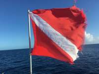 Great day of scuba diving in Key Largo with Rainbow Reef on spiegel grove tropical adventure 2016 01 02 r2415 1