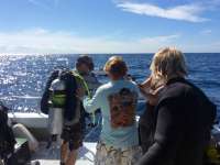 Great day of scuba diving in Key Largo with Rainbow Reef on spiegel grove tropical explorer 2016 01 30 r2465 1