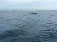 Great day of scuba diving in Key Largo with Rainbow Reef on uscgc duane tropical voyager 2016 01 13 r2442 1