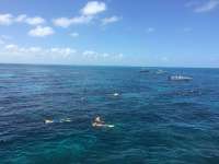 Great day of scuba diving in Key Largo with Rainbow Reef on christ statue tropical adventure 2016 07 07 r3028 1
