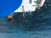 Great day of scuba diving in Key Largo with Rainbow Reef on eagle ray alley tropical adventure 2016 07 31 r3128 1