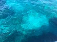 Great day of scuba diving in Key Largo with Rainbow Reef on eagle ray alley tropical legend 2016 07 08 r3031 1