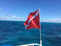 Great day of scuba diving in Key Largo with Rainbow Reef on fire coral cave tropical adventure 2016 07 16 r3073 1