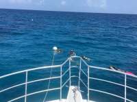 Great day of scuba diving in Key Largo with Rainbow Reef on french reef tropical odyssey 2016 07 25 r3102 1