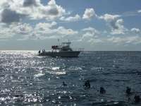 Great day of scuba diving in Key Largo with Rainbow Reef on hole in the wall tropical adventure 2016 07 23 r3091 2