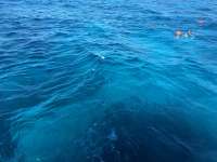 Great day of scuba diving in Key Largo with Rainbow Reef on hole in the wall tropical legend 2016 07 06 r3021 1