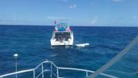 Great day of scuba diving in Key Largo with Rainbow Reef on molasses reef tropical odyssey 2016 07 14 r3067 1