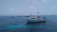 Great day of scuba diving in Key Largo with Rainbow Reef on molasses reef tropical voyager 2016 07 29 r3115 1