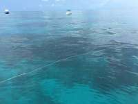 Great day of scuba diving in Key Largo with Rainbow Reef on north dry rocks tropical odyssey 2016 07 22 r3087 2